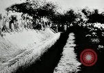 Standbild Massaker von Katyn des polnischen Vinnitsa Ukraine Sowjetunion, 1944, aus Sekunde 62 historischem Filmmaterial Videoclip 65675034441