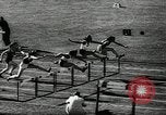 Immagine di Atletica leggera Berlino Germania, 1943, secondo 20 filmato di repertorio 65675034442