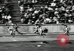 Immagine di Atletica leggera Berlino Germania, 1943, secondo 38 filmato di repertorio 65675034442