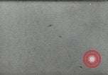 Immagine di Aerei russi Settore Orel Russia Unione Sovietica, 1943, secondo 28 filmato di repertorio 65675034446