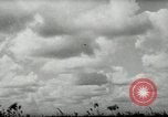 Immagine di Aerei russi Settore Orel Russia Unione Sovietica, 1943, secondo 55 filmato di repertorio 65675034446