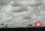 Immagine di Aerei russi Settore Orel Russia Unione Sovietica, 1943, secondo 57 filmato di repertorio 65675034446