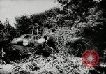 Image of German Stuka Ju 87 aircraft Germany, 1942, second 27 stock footage video 65675034449