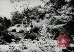 Image of German Stuka Ju 87 aircraft Germany, 1942, second 28 stock footage video 65675034449