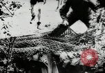 Image of German Stuka Ju 87 aircraft Germany, 1942, second 43 stock footage video 65675034449