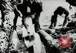 Image of German Stuka Ju 87 aircraft Germany, 1942, second 46 stock footage video 65675034449