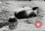 Image of German Stuka Ju 87 aircraft Germany, 1942, second 59 stock footage video 65675034449