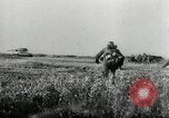 Image of German Infantry battle Russian forces near Novgorod World War 2 Russia, 1943, second 19 stock footage video 65675034453