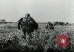 Image of German Infantry battle Russian forces near Novgorod World War 2 Russia, 1943, second 23 stock footage video 65675034453