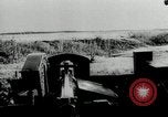 Image of German Infantry battle Russian forces near Novgorod World War 2 Russia, 1943, second 53 stock footage video 65675034453