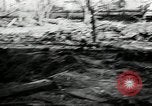 Standbild Deutsche Infanterie Angriff Stalingrad und Leningrad Russland, 1943, aus Sekunde 45 historischem Filmmaterial Videoclip 65675034455