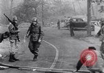 Immagine di Incendio di bosco Maine United States USA, 1947, secondo 13 filmato di repertorio 65675034465