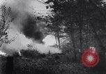 Immagine di Incendio di bosco Maine United States USA, 1947, secondo 27 filmato di repertorio 65675034465