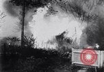 Immagine di Incendio di bosco Maine United States USA, 1947, secondo 31 filmato di repertorio 65675034465