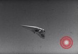 Image of N-306 Flying Wing aircraft United States USA, 1947, second 50 stock footage video 65675034474