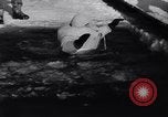 Image of P-51 and C-82 aircraft United States USA, 1947, second 34 stock footage video 65675034479