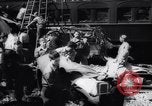 Immagine di Treni in collisione Naperville Illinois USA, 1946, secondo 38 filmato di repertorio 65675034488