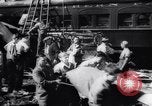 Immagine di Treni in collisione Naperville Illinois USA, 1946, secondo 39 filmato di repertorio 65675034488