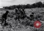 Standbild Nelson Rockefeller New Guinea, 1961, aus Sekunde 53 historischem Filmmaterial Videoclip 65675034494