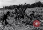 Standbild Nelson Rockefeller New Guinea, 1961, aus Sekunde 54 historischem Filmmaterial Videoclip 65675034494