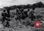 Standbild Nelson Rockefeller New Guinea, 1961, aus Sekunde 55 historischem Filmmaterial Videoclip 65675034494