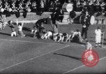 Standbild Ohio State gegen University of Michigan College Football Ann Arbor Michigan USA, 1961, aus Sekunde 30 historischem Filmmaterial Videoclip 65675034497