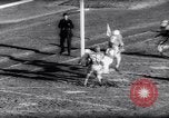 Standbild American Football New Brunswick New Jersey USA, 1961, aus Sekunde 18 historischem Filmmaterial Videoclip 65675034498