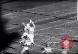 Standbild American Football New Brunswick New Jersey USA, 1961, aus Sekunde 34 historischem Filmmaterial Videoclip 65675034498