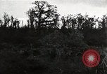 Standbild US Army 42nd Infantry Division und Tank Ersten Weltkrieg Saint Mihiel Frankreich, 1918, aus Sekunde 61 historischem Filmmaterial Videoclip 65675034506