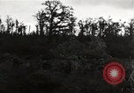 Standbild US Army 42nd Infantry Division und Tank Ersten Weltkrieg Saint Mihiel Frankreich, 1918, aus Sekunde 62 historischem Filmmaterial Videoclip 65675034506