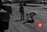 Immagine di Un campione d'aria equipaggiamento rimosso Eniwetak atollo delle Isole Marshall, 1946, secondo 28 filmato di repertorio 65675034533