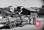 Standbild Mensch mit seinem Bullock Warenkorb Hachioji Japan, 1945, aus Sekunde 14 historischem Filmmaterial Videoclip 65675034537