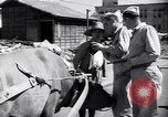 Standbild Mensch mit seinem Bullock Warenkorb Hachioji Japan, 1945, aus Sekunde 16 historischem Filmmaterial Videoclip 65675034537