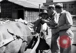 Standbild Mensch mit seinem Bullock Warenkorb Hachioji Japan, 1945, aus Sekunde 17 historischem Filmmaterial Videoclip 65675034537