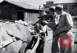 Standbild Mensch mit seinem Bullock Warenkorb Hachioji Japan, 1945, aus Sekunde 18 historischem Filmmaterial Videoclip 65675034537