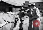 Standbild Mensch mit seinem Bullock Warenkorb Hachioji Japan, 1945, aus Sekunde 19 historischem Filmmaterial Videoclip 65675034537