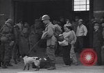 Image of 32nd Division Sasebo Japan, 1945, second 30 stock footage video 65675034554