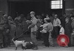 Image of 32nd Division Sasebo Japan, 1945, second 31 stock footage video 65675034554