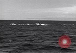 Standbild SS 187 U-Boot Pearl Harbor Hawaii USA, 1942, aus Sekunde 28 historischem Filmmaterial Videoclip 65675034581