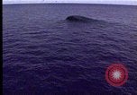 Standbild Theodore Roosevelt Flugzeugträger Norfolk Virginia USA, 1996, aus Sekunde 13 historischem Filmmaterial Videoclip 65675034584