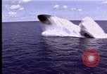Standbild Theodore Roosevelt Flugzeugträger Norfolk Virginia USA, 1996, aus Sekunde 15 historischem Filmmaterial Videoclip 65675034584