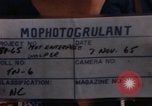 Standbild Die Äquatortaufe Zeremonien Pazifik, 1965, aus Sekunde 3 historischem Filmmaterial Videoclip 65675034607