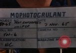 Standbild Die Äquatortaufe Zeremonien Pazifik, 1965, aus Sekunde 4 historischem Filmmaterial Videoclip 65675034607