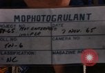 Standbild Die Äquatortaufe Zeremonien Pazifik, 1965, aus Sekunde 5 historischem Filmmaterial Videoclip 65675034607