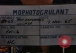 Standbild Die Äquatortaufe Zeremonien Pazifik, 1965, aus Sekunde 7 historischem Filmmaterial Videoclip 65675034607