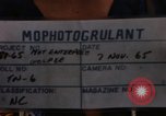 Standbild Die Äquatortaufe Zeremonien Pazifik, 1965, aus Sekunde 9 historischem Filmmaterial Videoclip 65675034607