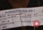 Standbild Die Äquatortaufe Zeremonien Pazifik, 1965, aus Sekunde 10 historischem Filmmaterial Videoclip 65675034607