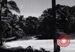 Image of Marine Aircraft Group 11 F4U Corsairs arrive back from mission Espiritu Santo New Hebrides Islands, 1944, second 53 stock footage video 65675034617