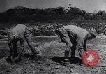 Image of battle of Malta Malta, 1942, second 50 stock footage video 65675034624