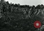 Image La récolte agricole aux Etats-Unis au cours d Seconde Guerre Mondiale United States USA, 1942, de la seconde 5 séquences d'archives historiques vidéo 65675034628